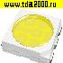 светодиод smd LED 5050(2020) белый 0.1вт чип светодиод