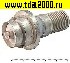радиолампа Радиолампа ГИ-44-Б