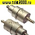 радиолампа Радиолампа ГИ-130М