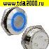 кнопка Кнопка антивандальная GQ19TF-10E/B/N off-(on)