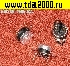 Низкие цены предохранитель термореле 140°C 10А KSD301 норм.замкн.