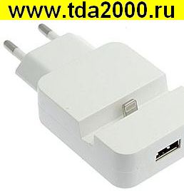 iPhone 5 USB Charging socket